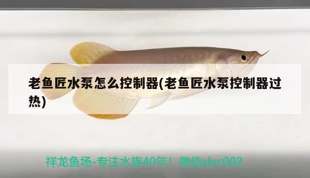 老魚匠水泵怎么控制器(老魚匠水泵控制器過熱)