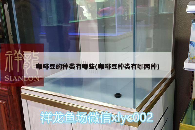 咖啡豆的種類有哪些(咖啡豆種類有哪兩種)
