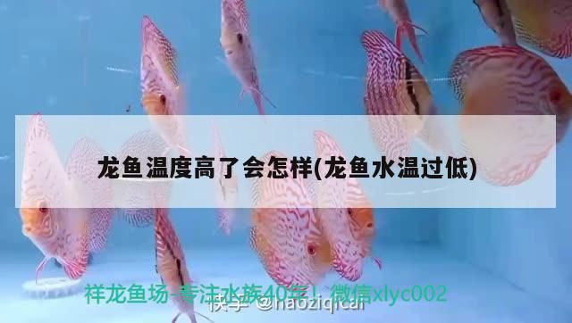 二手魚缸一般賣多少錢的（二手市場魚缸多少錢）