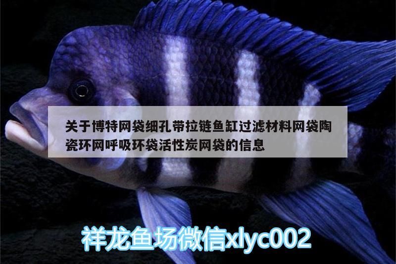 關(guān)于博特網(wǎng)袋細(xì)孔帶拉鏈魚缸過濾材料網(wǎng)袋陶瓷環(huán)網(wǎng)呼吸環(huán)袋活性炭網(wǎng)袋的信息