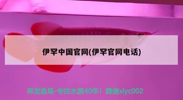 伊罕中國官網(伊罕官網電話)