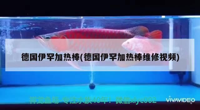 德國(guó)伊罕加熱棒(德國(guó)伊罕加熱棒維修視頻)