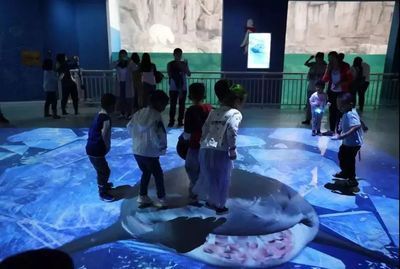 水族館有什么好玩的（水族館親子互動項目介紹）
