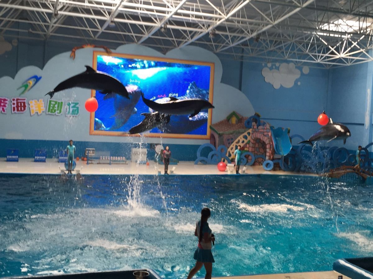 水族館有什么好玩的（水族館親子互動項目介紹）