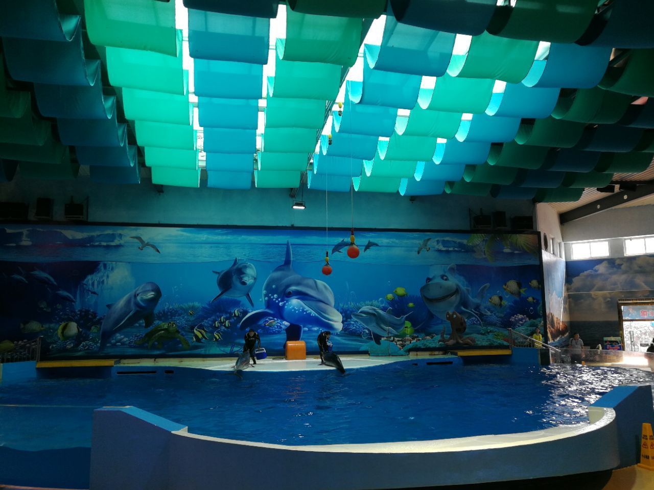 水族館有什么好玩的（水族館親子互動項目介紹）