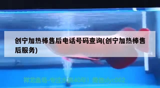 龍魚干蝦有營養嗎 創寧加熱棒售后電話號碼查詢(創寧加熱棒售后服務) 創寧水族 創寧加熱棒售后電話號碼查詢(創寧加熱棒售后服務) 創寧加熱棒售后電話號碼查詢(創寧加熱棒售后服務) 創寧水族