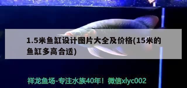 金龍魚苗的最佳繁殖溫度是多少？（金龍魚繁殖期溫控指南）