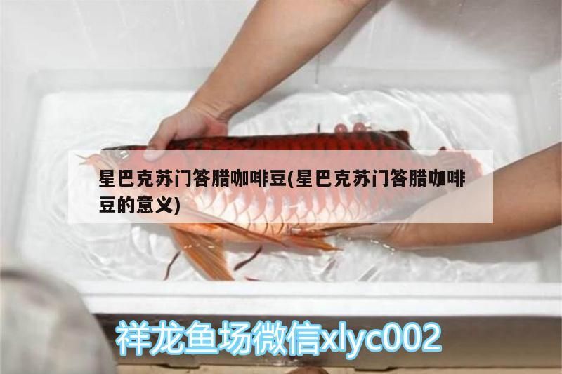 星巴克蘇門答臘咖啡豆(星巴克蘇門答臘咖啡豆的意義)