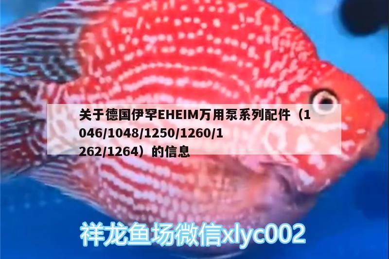 關(guān)于德國(guó)伊罕EHEIM萬(wàn)用泵系列配件（1046/1048/1250/1260/1262/1264）的信息