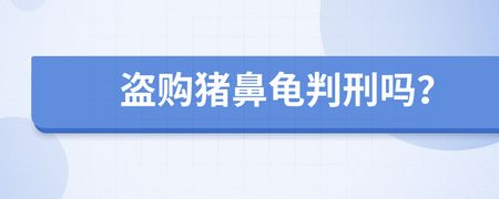 豬鼻龜判刑