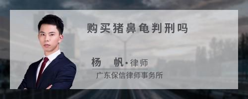 豬鼻龜判刑