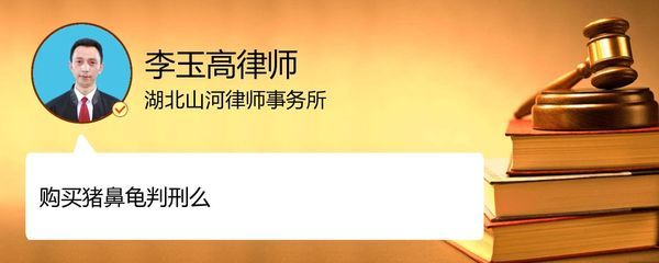豬鼻龜判刑