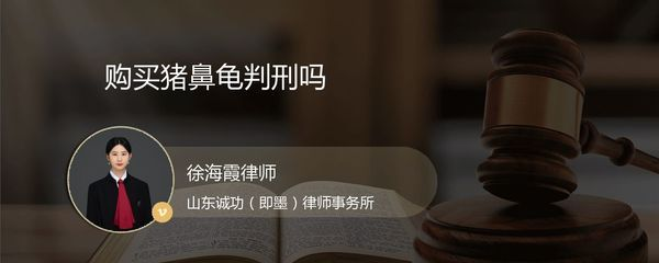 豬鼻龜判刑