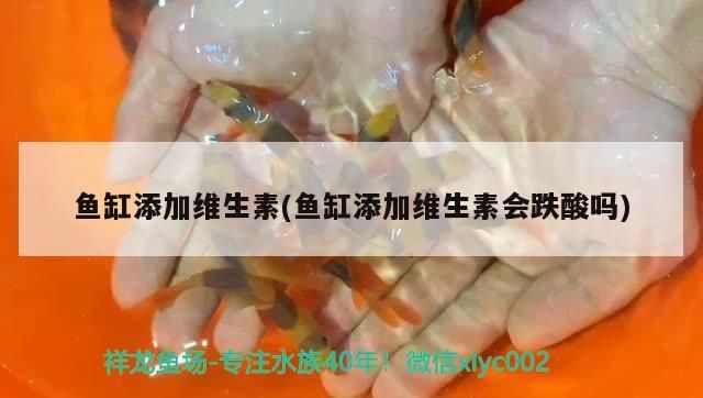 魚缸添加維生素(魚缸添加維生素會跌酸嗎)