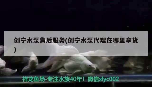 創寧水泵售后服務(創寧水泵代理在哪里拿貨)