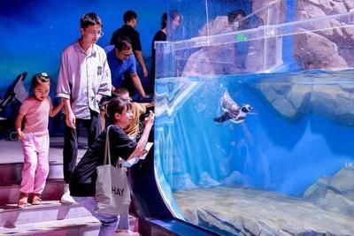 廣州一方水族館怎么樣：廣州一方水族館位于荔灣區(qū)柳橋北路西朗觀賞魚博覽中心10號