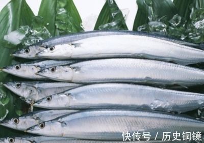 只養(yǎng)一條龍魚好不好呢：只養(yǎng)一條龍魚，靜享水中貴族的獨寵時光
