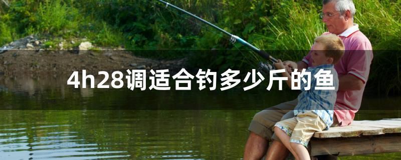 魚缸過濾器進水管要放多高水位 魚缸過濾器進水管要放多高水位的