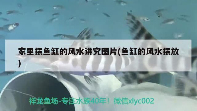 伊罕官網怎么查產品信息（伊思怎么查詢正品）