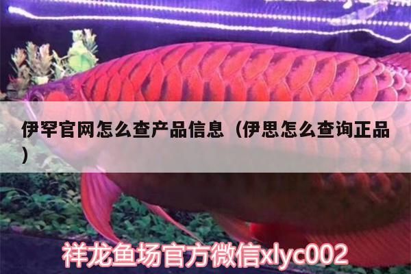 伊罕官網怎么查產品信息（伊思怎么查詢正品）