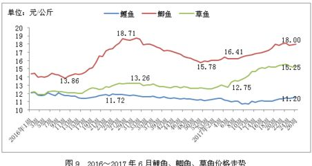 渭南可麗愛魚缸專賣店：探索水族之美，渭南可麗愛魚缸專賣店的專業(yè)與藝術(shù)