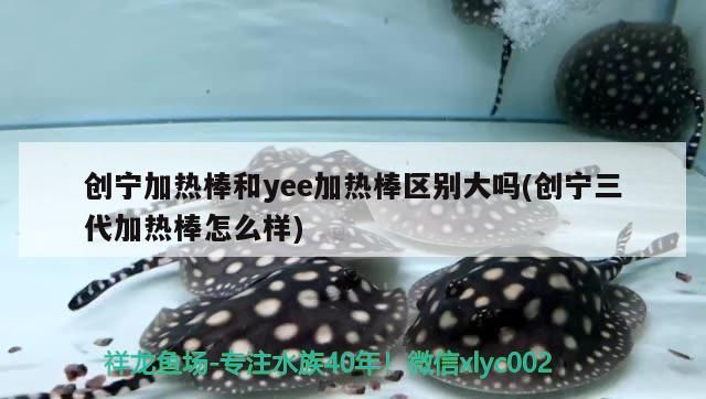 創寧加熱棒和yee加熱棒區別大嗎(創寧三代加熱棒怎么樣)