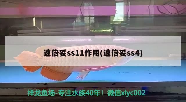速倍妥ss11作用(速倍妥ss4)