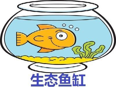 水族館加盟連鎖店怎么樣賺錢嗎多少錢一個(gè)月：水族館加盟連鎖店成功案例分析