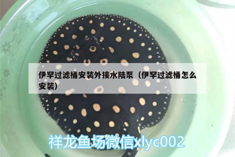 伊罕過濾桶安裝外接水陸泵（伊罕過濾桶怎么安裝）