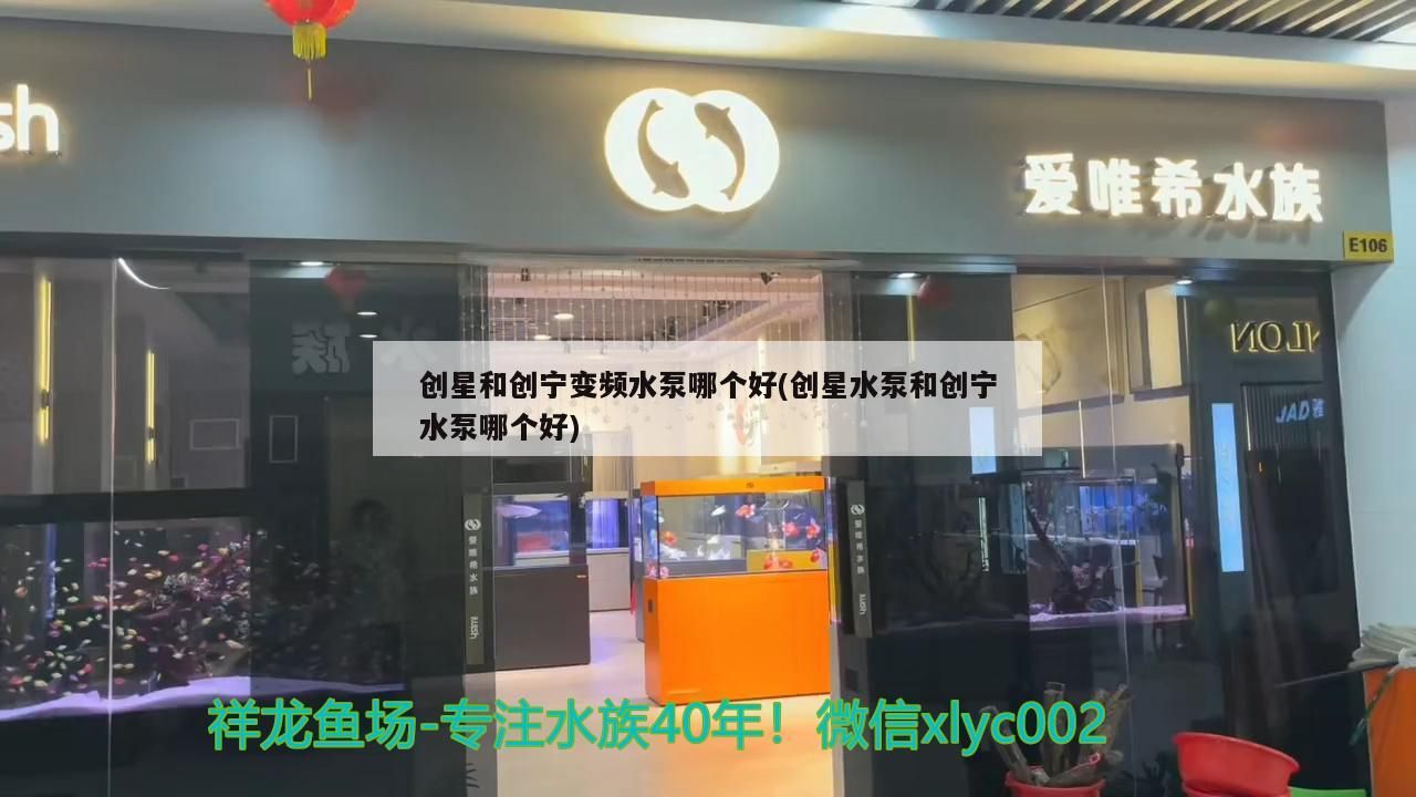 創星和創寧變頻水泵哪個好(創星水泵和創寧水泵哪個好)