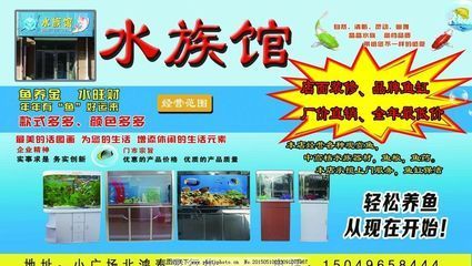 水族館的經營范圍有哪些（水族館的經營范圍）