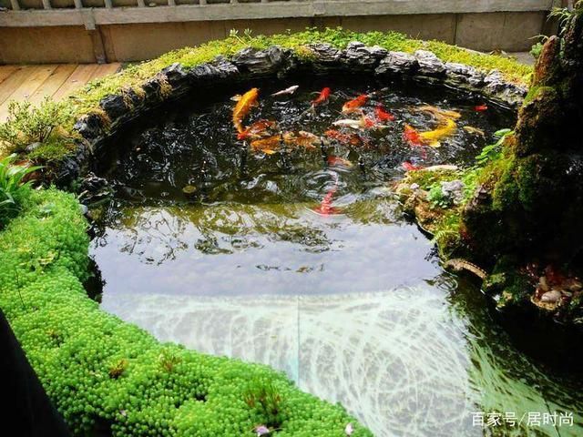大型魚池過濾系統(tǒng)（大型魚池過濾系統(tǒng)的優(yōu)點(diǎn)和缺點(diǎn)是魚池過濾系統(tǒng)的優(yōu)點(diǎn)）