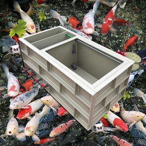 大型魚池過濾系統（大型魚池過濾系統的優點和缺點是魚池過濾系統的優點）