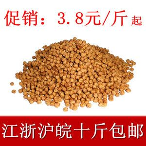 如何選擇高質量的魚糧，觀賞魚專用魚糧品牌推薦