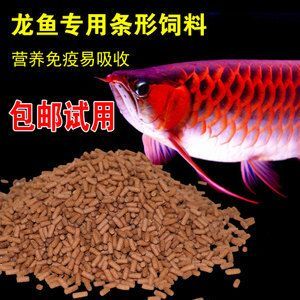 如何選擇高質量的魚糧，觀賞魚專用魚糧品牌推薦