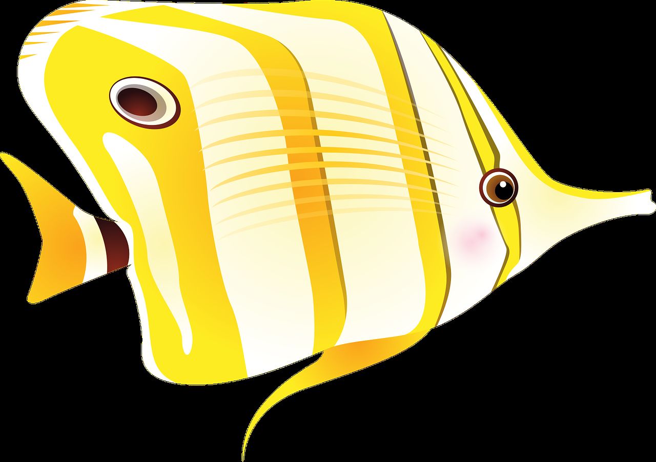 蛇骨龍魚圖片（ 龍骨和蛇骨）