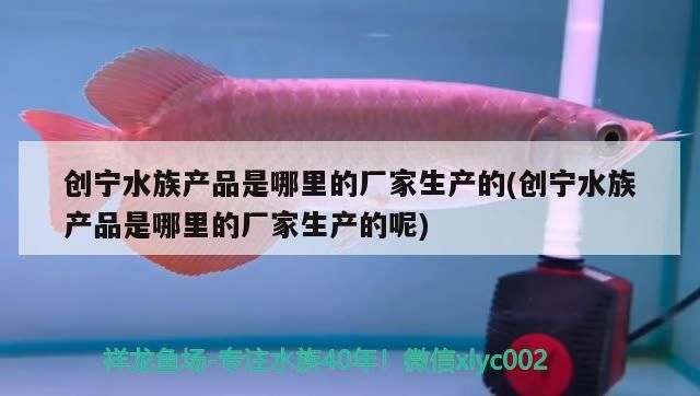 創(chuàng)寧水族產品是哪里的廠家生產的(創(chuàng)寧水族產品是哪里的廠家生產的呢)