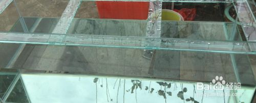 1米長的魚缸可以不用拉筋嗎