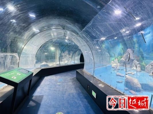 水族館開門了嗎最近：上海水族館開放狀態調查：2024年8月份正式對外開放