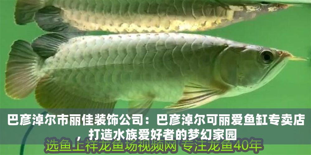 巴彥淖爾市麗佳裝飾公司：巴彥淖爾可麗愛魚缸專賣店，打造水族愛好者的夢幻家園