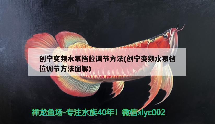 創寧變頻水泵檔位調節方法(創寧變頻水泵檔位調節方法圖解)