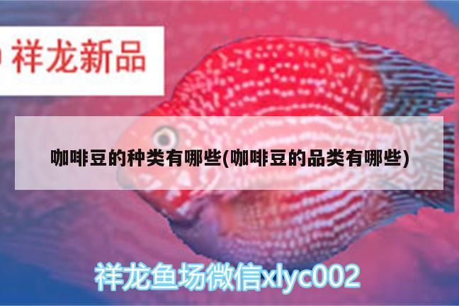咖啡豆的種類有哪些(咖啡豆的品類有哪些) 咖啡豆的種類有哪些(咖啡豆的品類有哪些) 馬來西亞咖啡