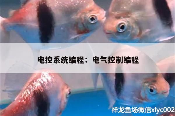 電控系統編程:電氣控制編程