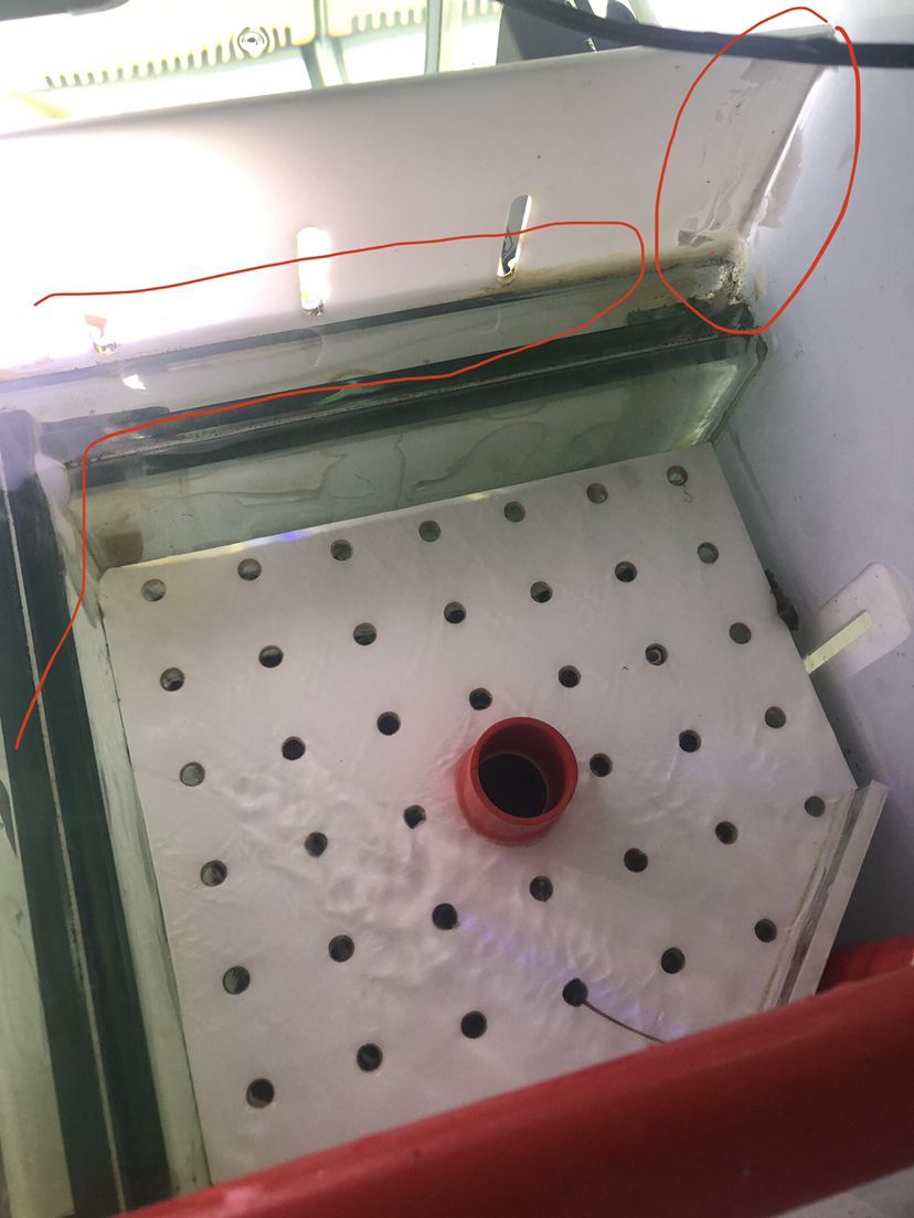 家庭圓柱魚缸圖片及價格圖片（ 家庭圓柱什么顏色好看效果圖）
