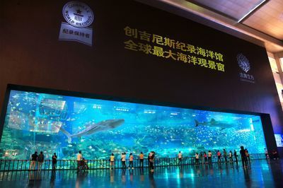 開個水族館要辦什么執照呢多少錢：辦理水族館執照需要什么