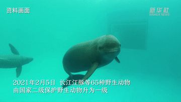 開個水族館要辦什么執照呢多少錢：辦理水族館執照需要什么