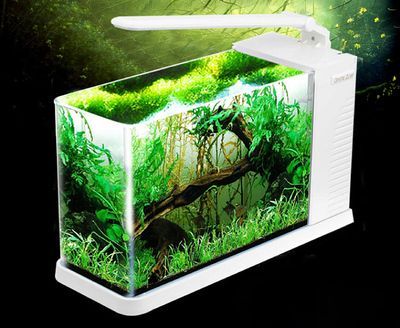 龍魚缸燈的擺放示意圖