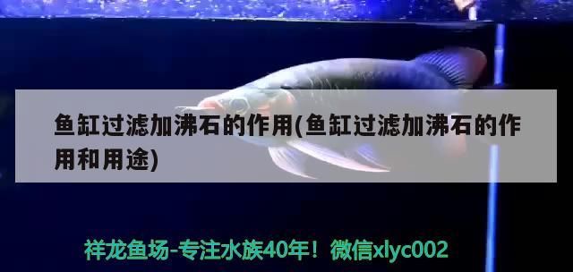 魚(yú)缸過(guò)濾加沸石的作用(魚(yú)缸過(guò)濾加沸石的作用和用途)