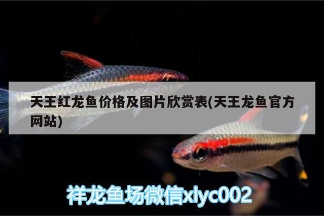 天王紅龍魚價格及圖片欣賞表(天王龍魚官方網站)
