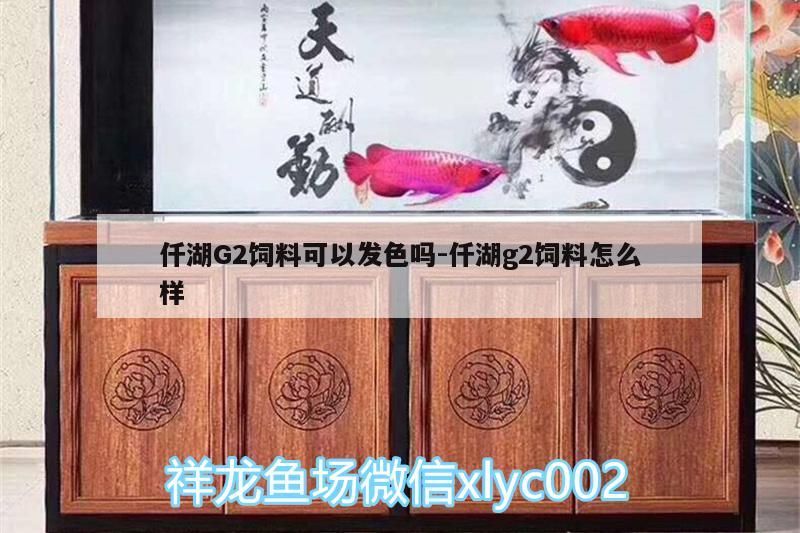 仟湖G2飼料可以發色嗎:仟湖g2飼料怎么樣